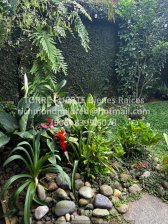 Casa en Venta en San Rafael La Unión, Cartago