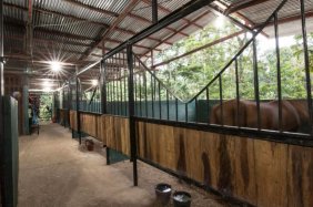 Comercio en Venta en Cocles Cahuita, Limón