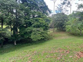 Finca en Venta en san gorge Cutris, Alajuela