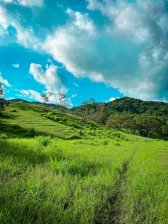 Finca en Venta en Paquera Paquera, Puntarenas