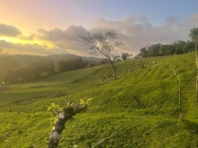 Finca en Venta en  Monteverde, Puntarenas