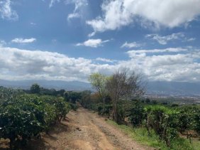 Finca en Venta en  San Rafael, Heredia