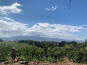 Finca en Venta en  San Rafael, Heredia