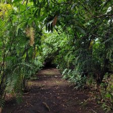 Finca en Venta en  Escazú, San José