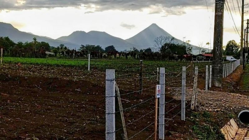 En venta dos lotes ubicados en Los Ángeles de la Fortuna. San Carlos Alajuela. Costa Rica.