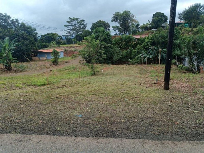 Venta de lote en San Ramon, Peñas Blancas, cerca de la Fortuna San Carlos