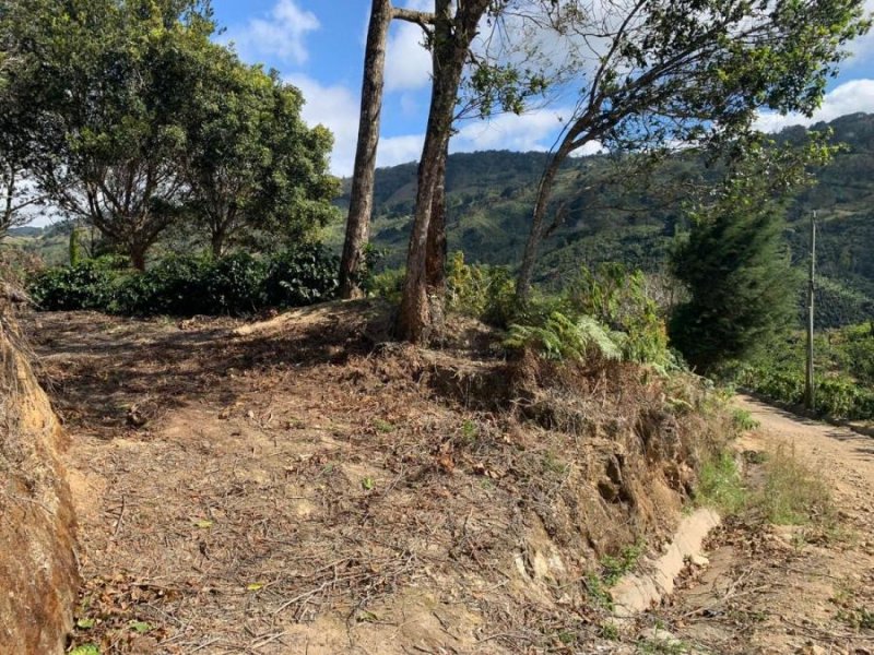 Venta de Lote en Desamparados, San José. RAH 25-1737