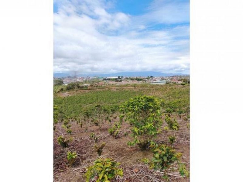Lote en Venta, Uso Residencial, Clima de Montaña, 5PJG9045537