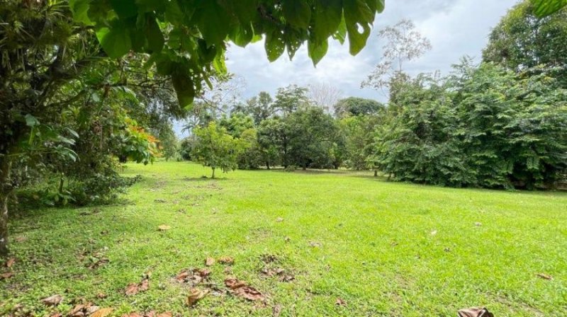 Venta de lote en La Colonia Guápiles LFS