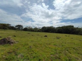Terreno en Venta en  Garita, Alajuela