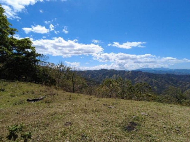 Se vende amplio lote de 5,4 Hectáreas en Ciudad Colon 23-2143