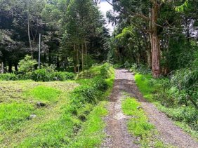 Terreno en Venta en  Dota, San José