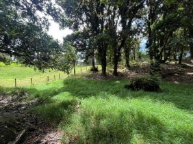 Terreno en Venta en  Jardín, San José