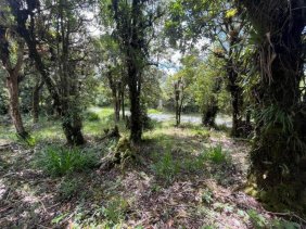 Terreno en Venta en  Jardín, San José