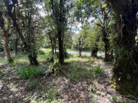 Terreno en Venta en  Dota, San José