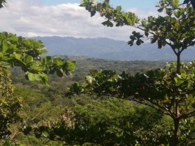 Terreno en Venta en  Orotina, Alajuela