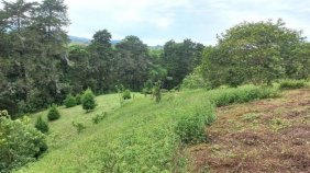 Se vende amplia propiedad con 2 hectáreas en Guadalupe San José 25-1767