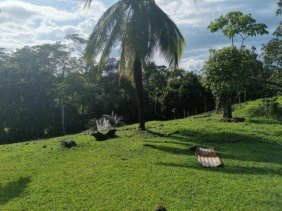 Terreno en Venta en  San Carlos, Alajuela