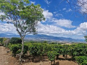 Terreno en Venta en  San Rafael, Heredia
