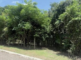 Terreno en Venta en  Turrubares, San José