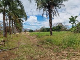 Terreno en Venta en  Desamparados, Alajuela