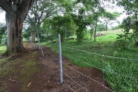Terreno en Venta en  Poás, Alajuela