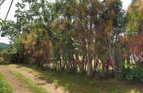 Terreno en Venta en  Mora, San José