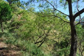 Terreno en Venta en  Santa Ana, San José