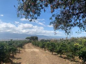 Terreno en Venta en  Concepción, Heredia