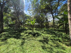 Terreno en Venta en San Isidro de El General Perez Zeledón, San José