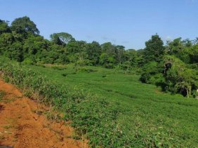 Terreno en Venta en  Curena, Heredia