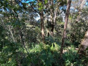 Terreno en Venta en  Dota, San José