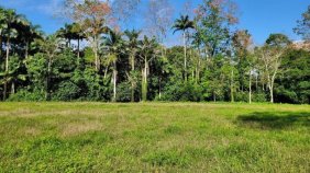 Terreno en Venta en  Matama, Limón