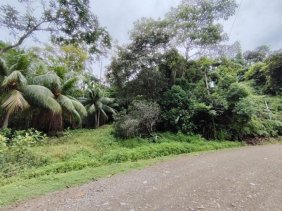 Terreno en Venta en e Tres Ríos, Osa, Puntarenas, Costa Rica., Osa, Pu Quepos, Puntarenas