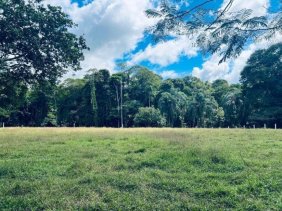 Terreno en Venta en  Guácimo, Limón
