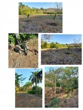 Terreno en Venta en San Pedro Santa Cruz, Guanacaste