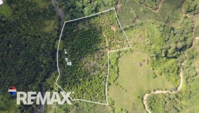 Terreno en Venta en San Pedro de Santiago Perez Zeledón, San José