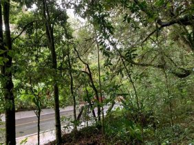 Terreno en Venta en  Dota, San José