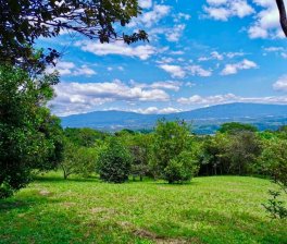 Terreno en Venta en El Rodeo Colón, San José