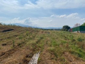 Lote de 25,898 m² en La Guácima – Ideal para Desarrollo Residencial o Comercial #26-389 GS