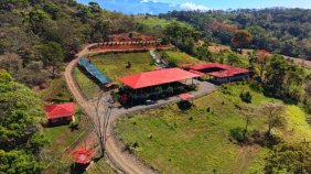 Terreno en Venta en Daniel Flores Perez Zeledón, San José