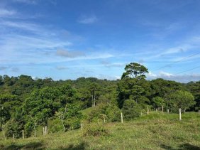 Terreno en Venta en  Sarapiquí, Heredia