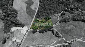 LOTE EN VENTA EN LAS MERCEDES DE CAJÓN, PÉREZ ZELEDÓN – 10,718 m² CON VISTA Y ÁRBOLES FRUTALES