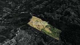 FINCA PRODUCTIVA DE 28.7 HA EN MORAZÁN, PÉREZ ZELEDÓN CON VISTAS AL CHIRRIPÓ Y NACIENTE PROPIA