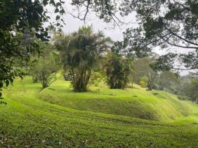 Terreno en Venta en  Poás, Alajuela