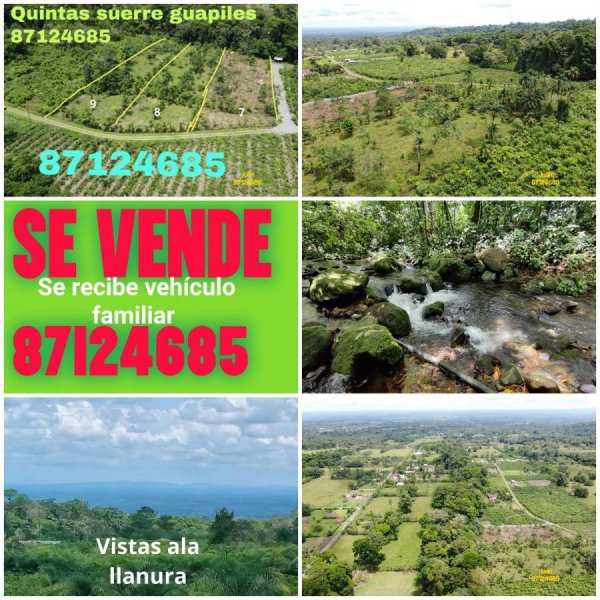 Foto Terreno en Venta en Calle 6, Suerre, Limón - ¢ 29.000.000 - TEV54562 - BienesOnLine