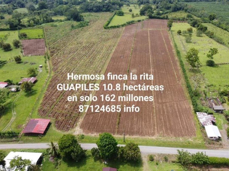 Foto Finca en Venta en Calle del gobierno, Calle del gobierno, Limón - ¢ 15.000 - FIV41225 - BienesOnLine