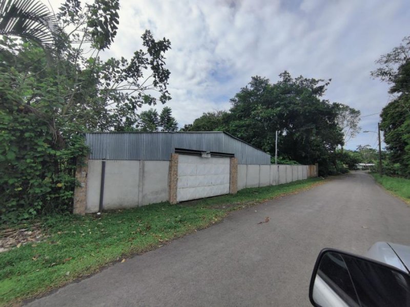 Foto Bodega en Venta en Roxana puntarriel, Pococí, Limón - ¢ 15.000.000 - BOV41204 - BienesOnLine
