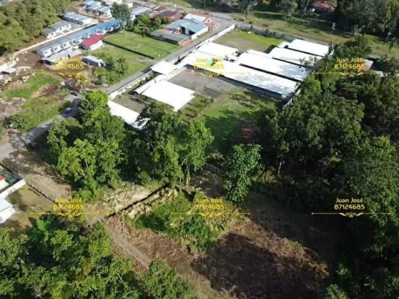 Terreno en Venta en El molino centro atrás de la escuela El molino jimenez, Limón