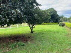 Terreno en Venta en El Tigre Orotina, Alajuela